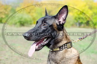 Collare con punte, piastre e piramidi per Malinois Collare con punte, piastre e piramidi per Malinois