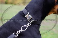 Collare regolabile in nylon per Dobermann Collare regolabile in nylon per Dobermann