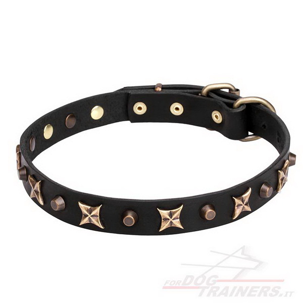 Collare nero con borchie decorative in ottone per cane