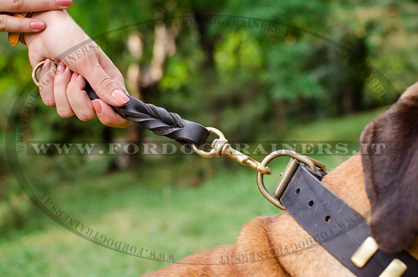 Collare i pelle naturale per Bullmastiff