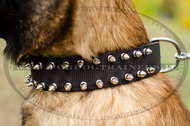Collare in nylon con borchie a punta per Malinois Collare in nylon con borchie a punta per Malinois