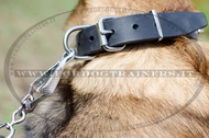 Collare in cuoio con borchie a punta per Malinois Collare in cuoio con borchie a punta per Malinois