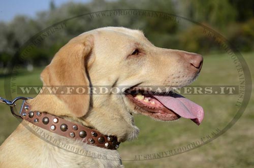 Collare in cuoio con borchie a semisfera e piramidi per Labrador