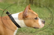 Collare a strozzo con intrecciamento per Amstaff Collare a strozzo con intrecciamento per Amstaff