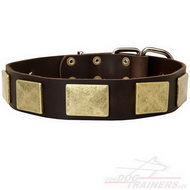 Collare in cuoio con piastre di bronzo per cane Collare in cuoio con piastre di bronzo per cane