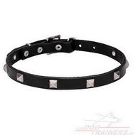 Collare con piramidi cromate per cane