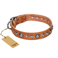 Collare di pelle "Daily Chik" FDT Artisan per cane Collare di pelle "Daily Chik" FDT Artisan per cane