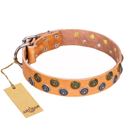 Collare originale "Precious Sparkle" FDT Artisan per cane Collare originale "Precious Sparkle" FDT Artisan per cane