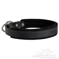 Collare con fodera di feltro per cani, larghezza 30 mm Collare con fodera di feltro per cani, larghezza 30 mm