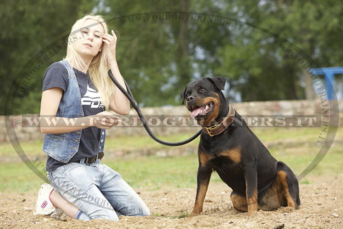 Rottweiler con collare di cuoio