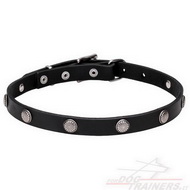 Collare con borchie rotonde cromate per cane