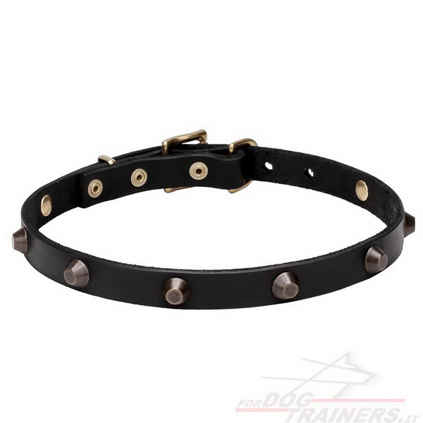 Collare nero con borchie decorative in ottone per cane