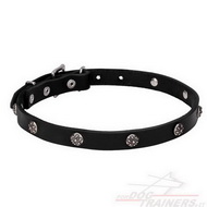Collare con borchie a fiore cromate per cane Collare con borchie a fiore cromate per cane