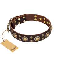 Collare marrone "Flower Melody" FDT Artisan per cane Collare marrone "Flower Melody" FDT Artisan per cane
