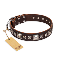 Collare marrone "Perfect Impression" FDT Artisan per cane Collare marrone "Perfect Impression" FDT Artisan per cane