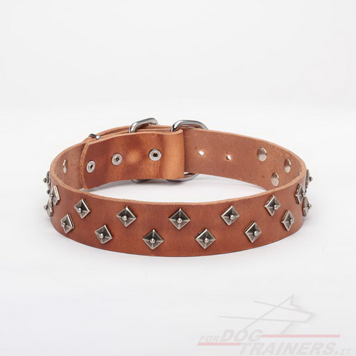 Collare marrone chiaro con borchie decorative per cane