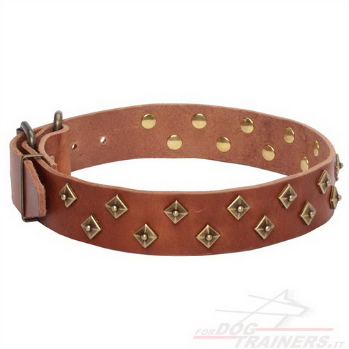 Collare marrone chiaro con borchie decorative di ottone per cane