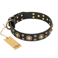 Collare nero "Baroque Chic" FDT Artisan per cane Collare nero "Baroque Chic" FDT Artisan per cane