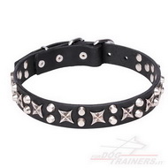 Collare con borchie a stellina "Shining Stars" per cane Collare con borchie a stellina "Shining Stars" per cane