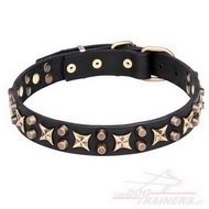Collare con borchie a stellina "Hollywood Star" per cane Collare con borchie a stellina "Hollywood Star" per cane