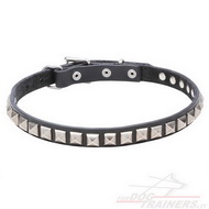 Collare con piastre a piramide per cane