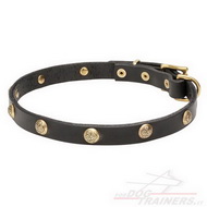 Collare con piastre in ottone a fiore per cane Collare con piastre in ottone a fiore per cane