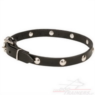 Collare stretto con piastre cromate a sfera per cane