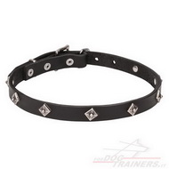 Collare stretto "Cosmic Stars" con piastre cromate per cane