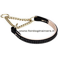 Collare a semistrozzo "Golden Charm", 12 mm per cane Collare a semistrozzo "Golden Charm", 12 mm per cane