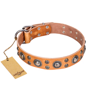 Collare originale "Extra Sparkle" FDT Artisan per cane Collare originale "Extra Sparkle" FDT Artisan per cane