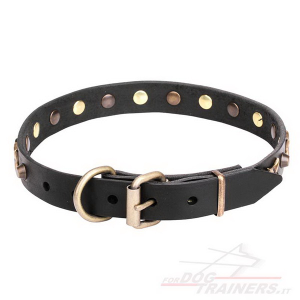 Collare nero con borchie in ottone per cane