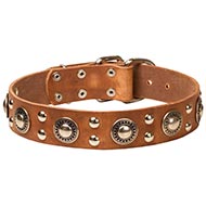 Collare di pelle vera con borchie "Rock-n-roll" per cane Collare di pelle vera con borchie "Rock-n-roll" per cane