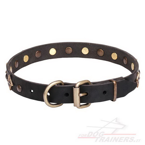 Collare nero con borchie in ottone per cane