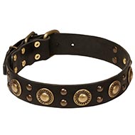 Collare con borchie e piastre di ottone per cane Collare con borchie e piastre di ottone per cane