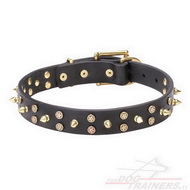 Collare "Space travel"con borchie in ottone per cane Collare "Space travel"con borchie in ottone per cane