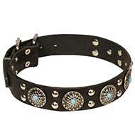 Collare con pietre azzurre e borchie decorative per cane Collare con pietre azzurre e borchie decorative per cane