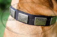 Collare in nylon con piastre decorative per Bullmastiff Collare in nylon con piastre decorative per Bullmastiff
