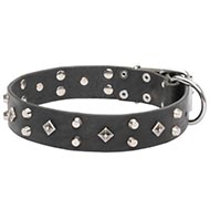 Collare con borchie esclusive per cane Collare con borchie esclusive per cane