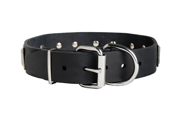 Collare in cuoio con piastre in rilievo per cane