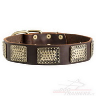 Collare in cuoio con piastre decorative di ottone per cane