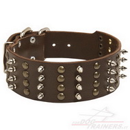 Collare in cuoio con punte nichelate e semisfere