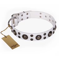 Collare originale "White Jewel" FDT Artisan per cane Collare originale "White Jewel" FDT Artisan per cane