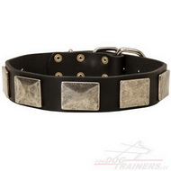 Collare in cuoio con piastre decorative in nichel per cane