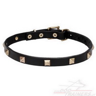 Collare con piramidi in ottone per cane