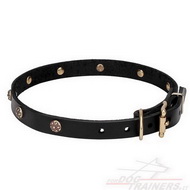 Collare con borchie a fiore in ottone per cane Collare con borchie a fiore in ottone per cane