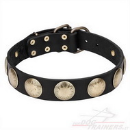 Collare "Hip and Edgy" con borchie in ottone per cane grande Collare "Hip and Edgy" con borchie in ottone per cane grande