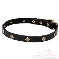 Collare stretto "Rhombi" con piastre in ottone per cane