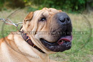 Collare decorativo con disegno di fuoco per Shar Pei Collare decorativo con disegno di fuoco per Shar Pei