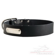 Collare in cuoio con piastra d'identificazione per cane Collare in cuoio con piastra d'identificazione per cane