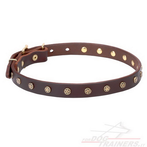 Collare marrone con borchie a stellina in ottone per cane